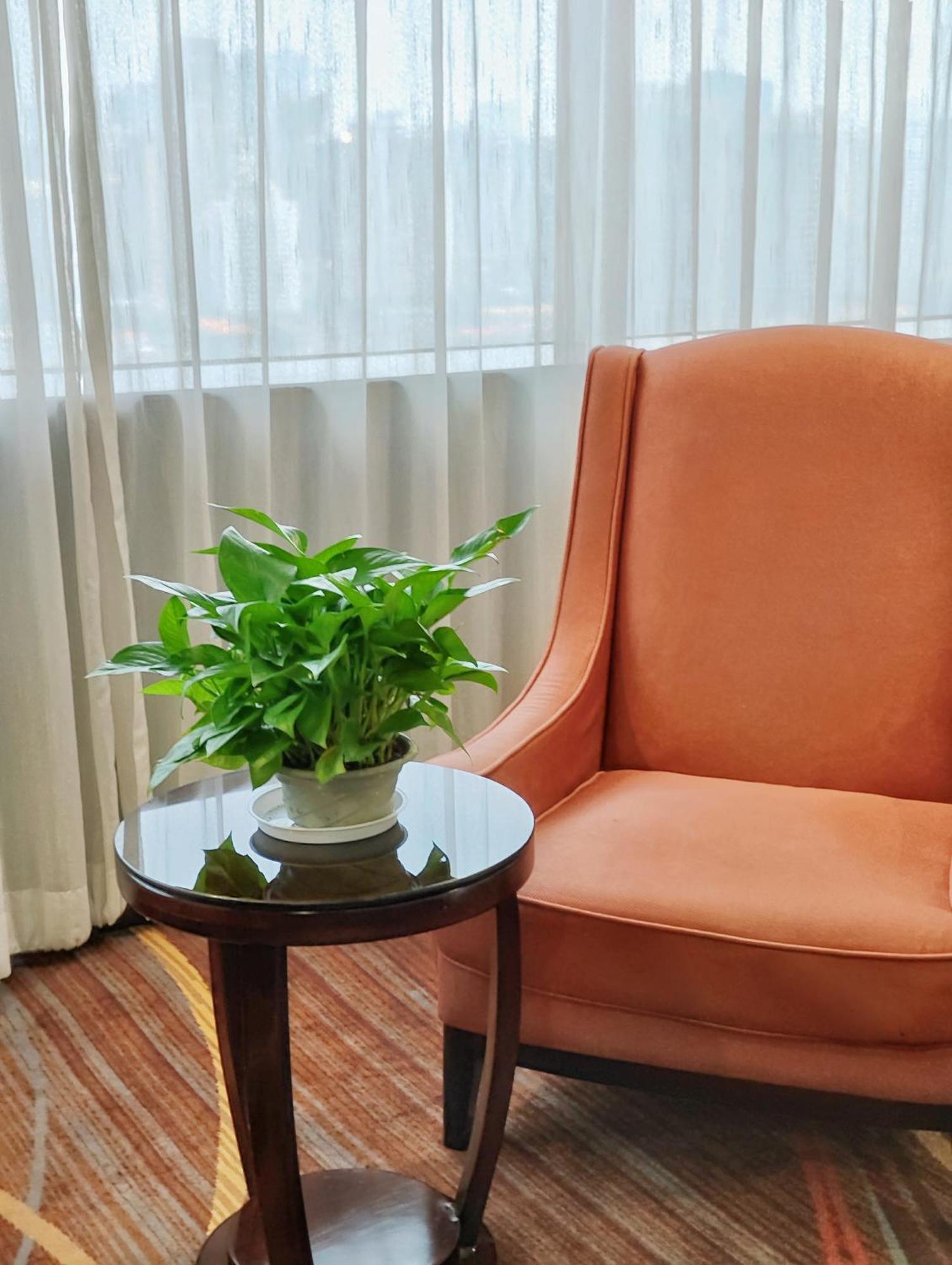 Skyline Plaza Hotel Гуанджоу Екстериор снимка